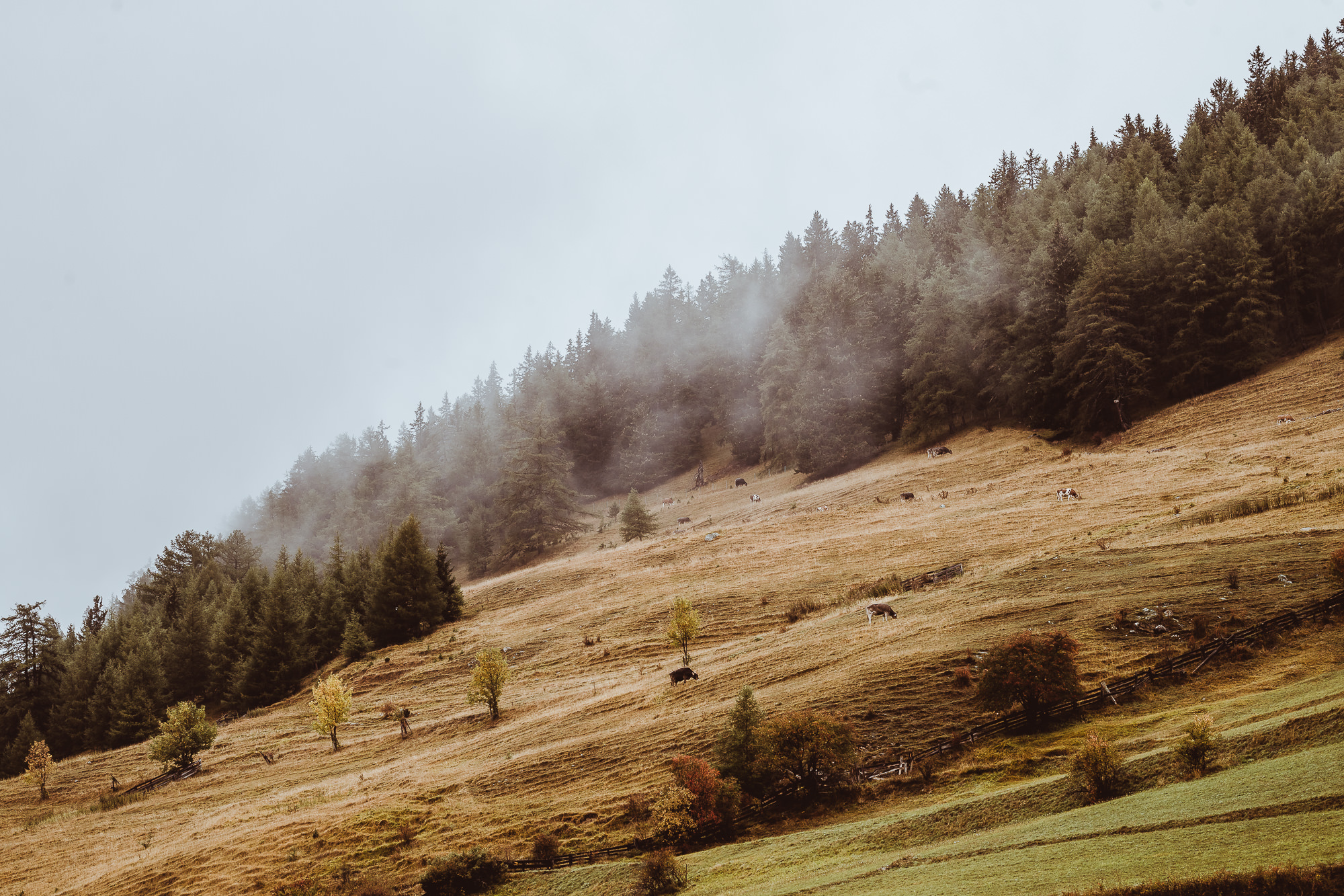 Export x3 1DX23875 Fotoshooting 2018 Annette & Mike Nauders